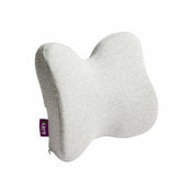 iCare Reform Low Back Support